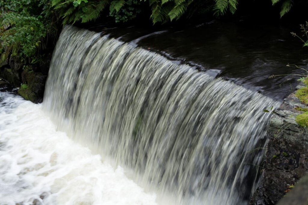 (c) Ulf Betshammar 2021